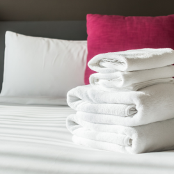 Untitled design - 2025-10-28T004511.363